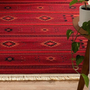 Omaira Collection