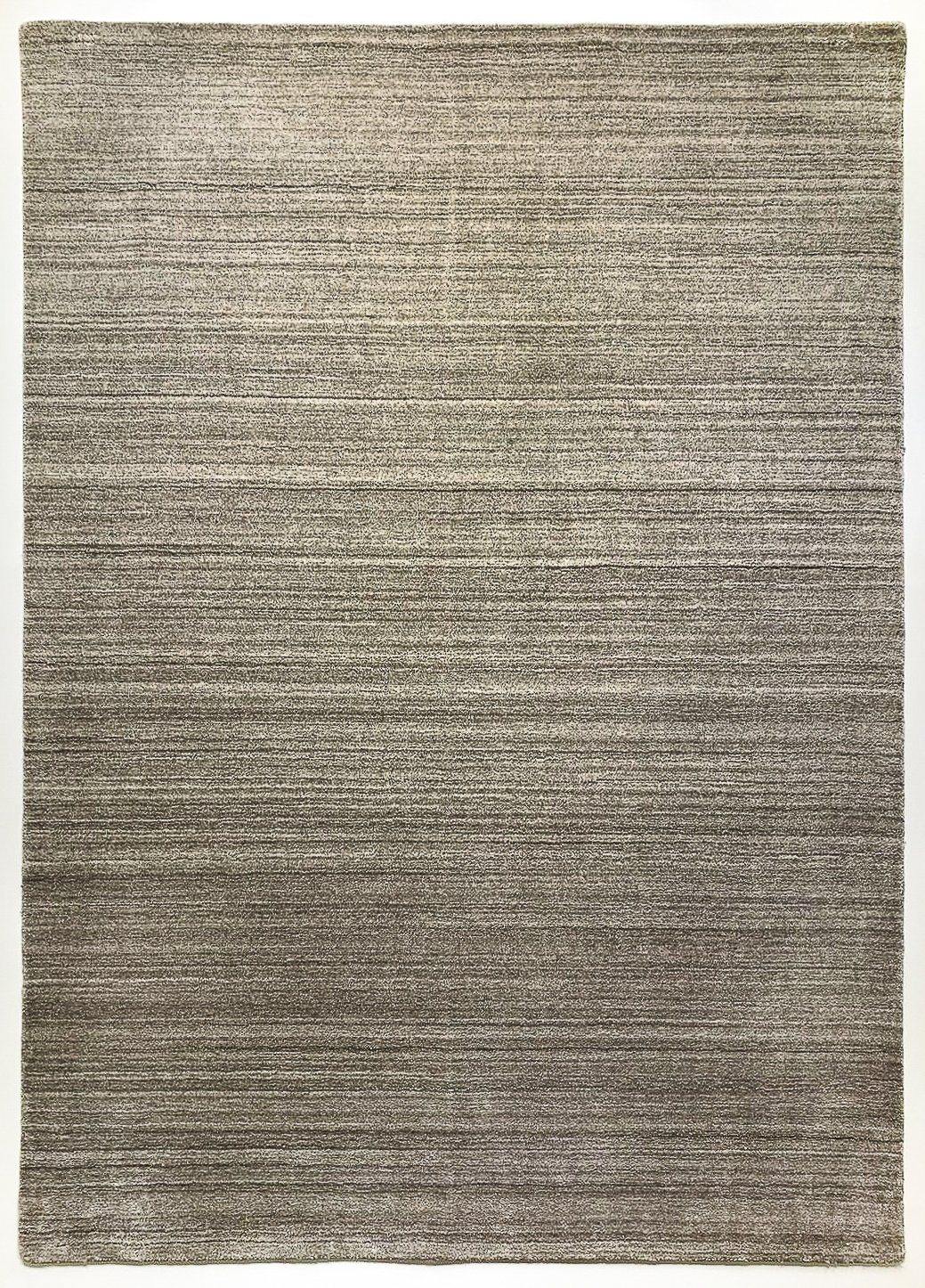 Akita Taupe